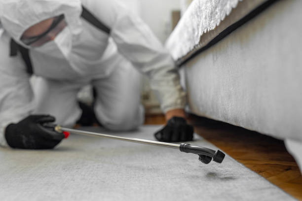 Professional Termite Control technician working in Wooster, OH