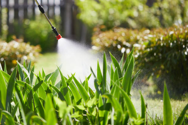 24/7 Emergency Termite Control experts in Wooster, OH